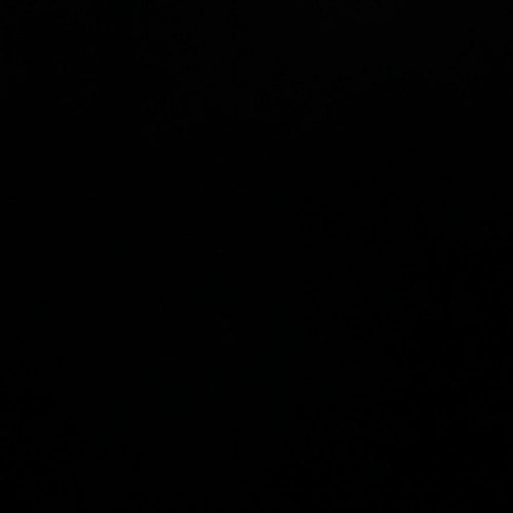 Classic Black Garment
